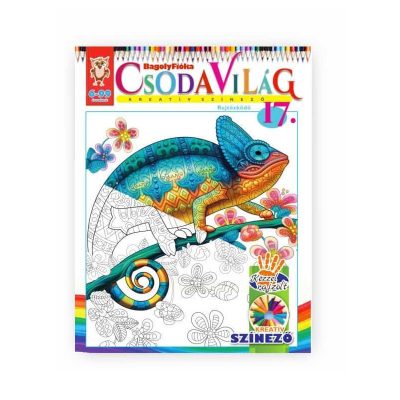 BagolyFióka - Csodavilág 17 - Rejtőzködő